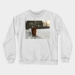 Scottish Highland Cattle Calf 1640 Crewneck Sweatshirt